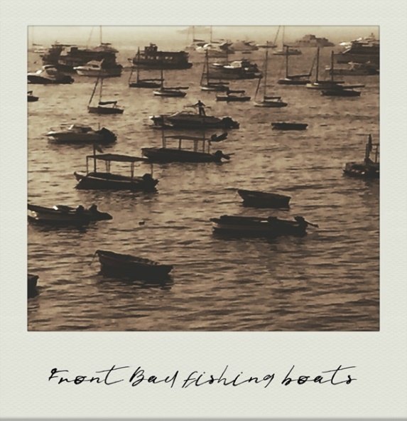 Photograph: fishing boats crowd the Front Bay.