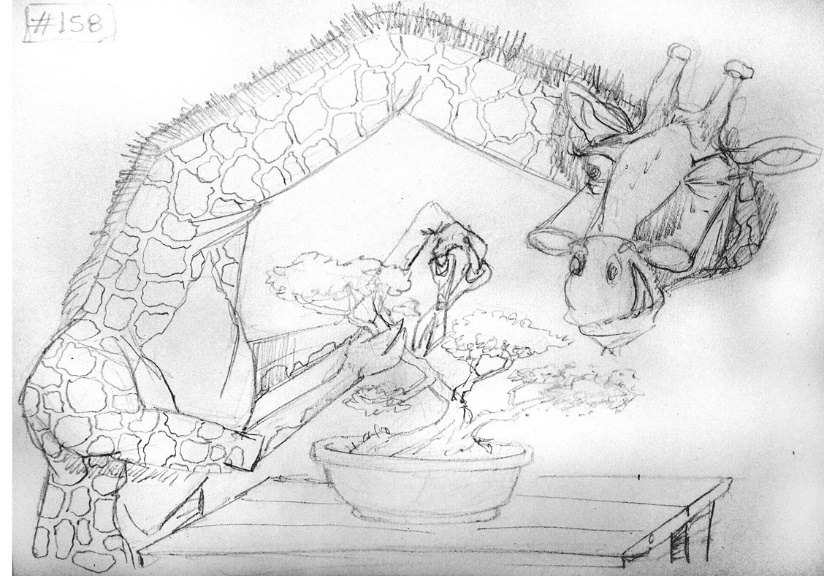 Pencil sketch of the giraffe and bonsai tree.