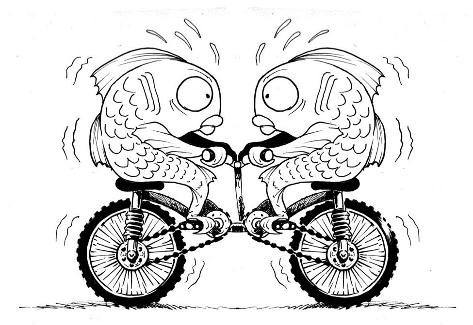 Two fish on a tandem bicycle, facing opposite directions, pedaling furiously.